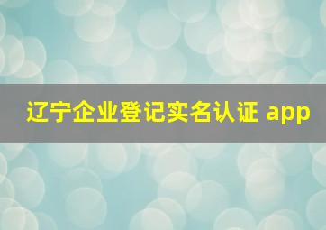 辽宁企业登记实名认证 app